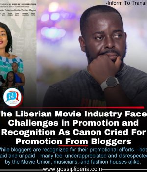 The Liberian Movie Industry Faces Challenges With Promotion And Recognition