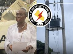 LEC Recovers Nearly 5MW in Crackdown on Illegal Power Use