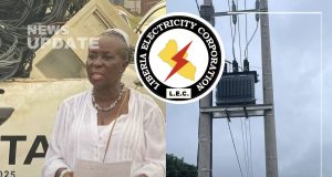 LEC Recovers Nearly 5MW in Crackdown on Illegal Power Use