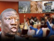 Kolubah Ousted, But Not Silenced: ‘If Lawmakers Can Remove Me, Why Protect Failing Companies?’