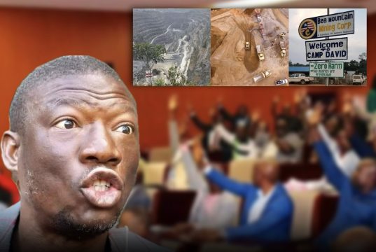 Kolubah Ousted, But Not Silenced: ‘If Lawmakers Can Remove Me, Why Protect Failing Companies?’