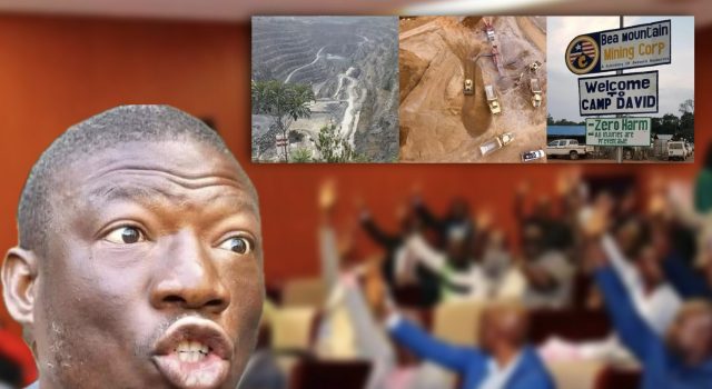 Kolubah Ousted, But Not Silenced: ‘If Lawmakers Can Remove Me, Why Protect Failing Companies?’