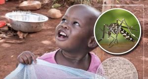 Malaria Crisis Linked to Learning Struggles: Is Liberia Facing a Silent Cognitive Emergency?