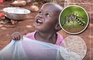 Malaria Crisis Linked to Learning Struggles: Is Liberia Facing a Silent Cognitive Emergency?