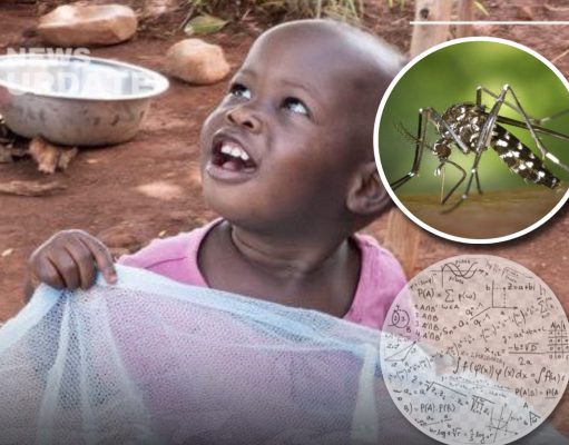 Malaria Crisis Linked to Learning Struggles: Is Liberia Facing a Silent Cognitive Emergency?